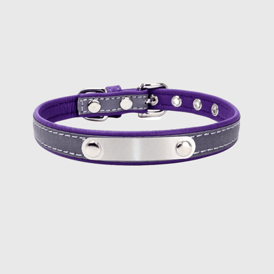 https://cdn.shopify.com/s/files/1/0763/9767/4819/files/Collier_reflechissant_personnalisable_pour_chien_violet.png?v=1769014562