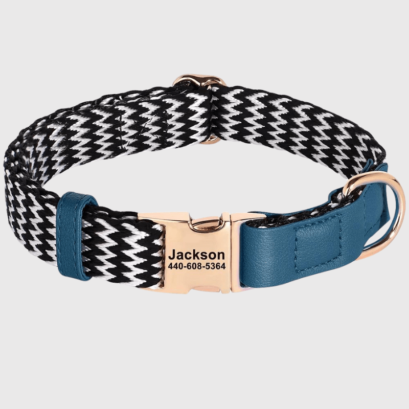 https://cdn.shopify.com/s/files/1/0763/9767/4819/files/Collier_vaguelette_personnalisable_pour_chien_marchant_dans_un_parc.png?v=1745331701