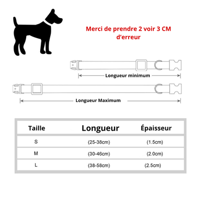 https://cdn.shopify.com/s/files/1/0763/9767/4819/files/Collier_vaguelette_personnalisable_pour_chien_taille.png?v=1745331677