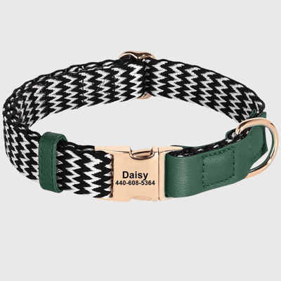 https://cdn.shopify.com/s/files/1/0763/9767/4819/files/Collier_vaguelette_personnalisable_pour_chien_vert.png?v=1745331677
