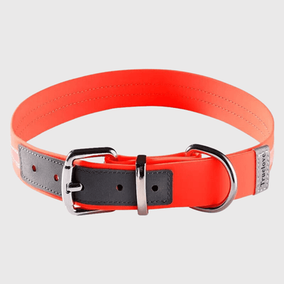 https://cdn.shopify.com/s/files/1/0763/9767/4819/files/Collier_waterproof_True_Love_orange.png?v=1698418934