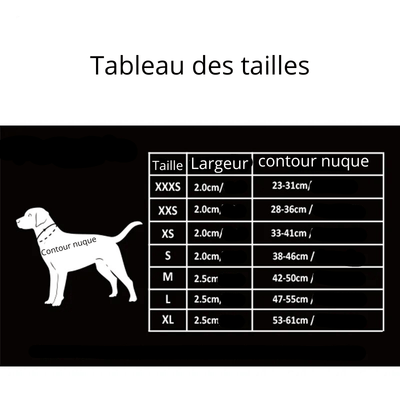 https://cdn.shopify.com/s/files/1/0763/9767/4819/files/Collier_waterproof_True_Love_taille.png?v=1701357926