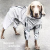 Combinaison réfléchissante pour chien - Gros-Chien.com