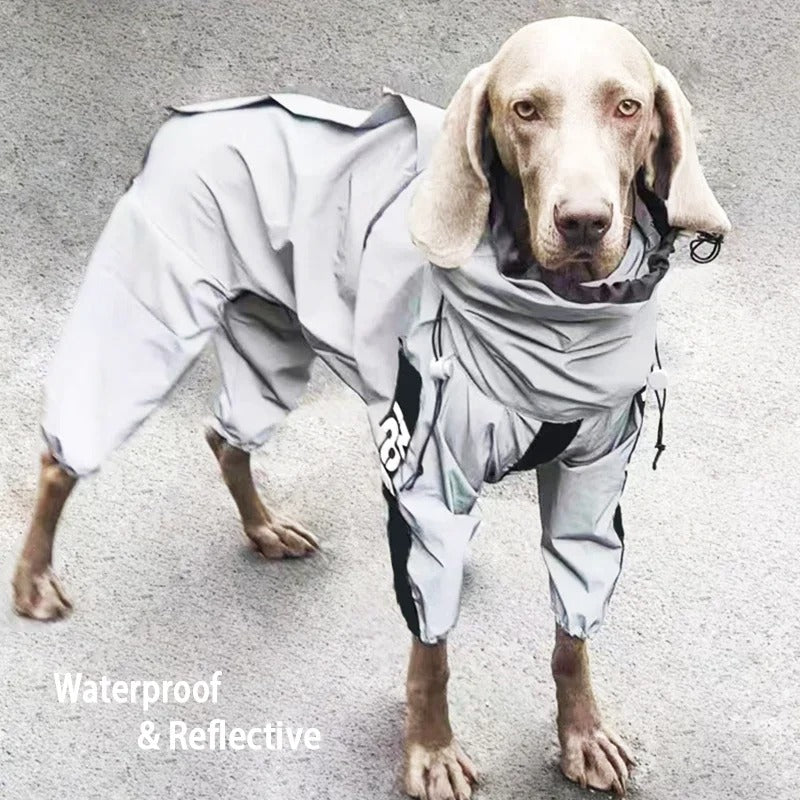 Combinaison réfléchissante pour chien - Gros-Chien.com