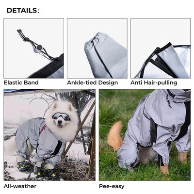 Combinaison réfléchissante pour chien - Gros-Chien.com