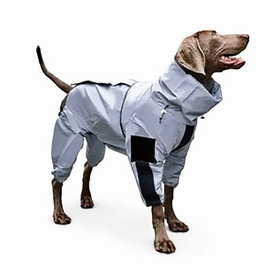 Combinaison réfléchissante pour chien - Gros-Chien.com