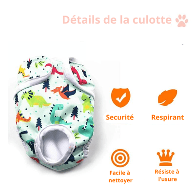 https://cdn.shopify.com/s/files/1/0763/9767/4819/files/Couche_culotte_pour_chien_details.png?v=1746196532