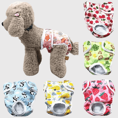 https://cdn.shopify.com/s/files/1/0763/9767/4819/files/Couche_culotte_pour_chien_modele_chiot.png?v=1746196532