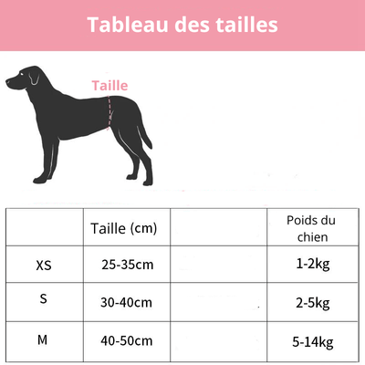 https://cdn.shopify.com/s/files/1/0763/9767/4819/files/Couche_culotte_pour_chien_taille.png?v=1746196532