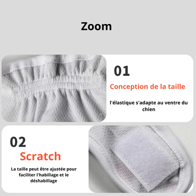 https://cdn.shopify.com/s/files/1/0763/9767/4819/files/Couche_culotte_pour_chien_zoom.png?v=1746196532