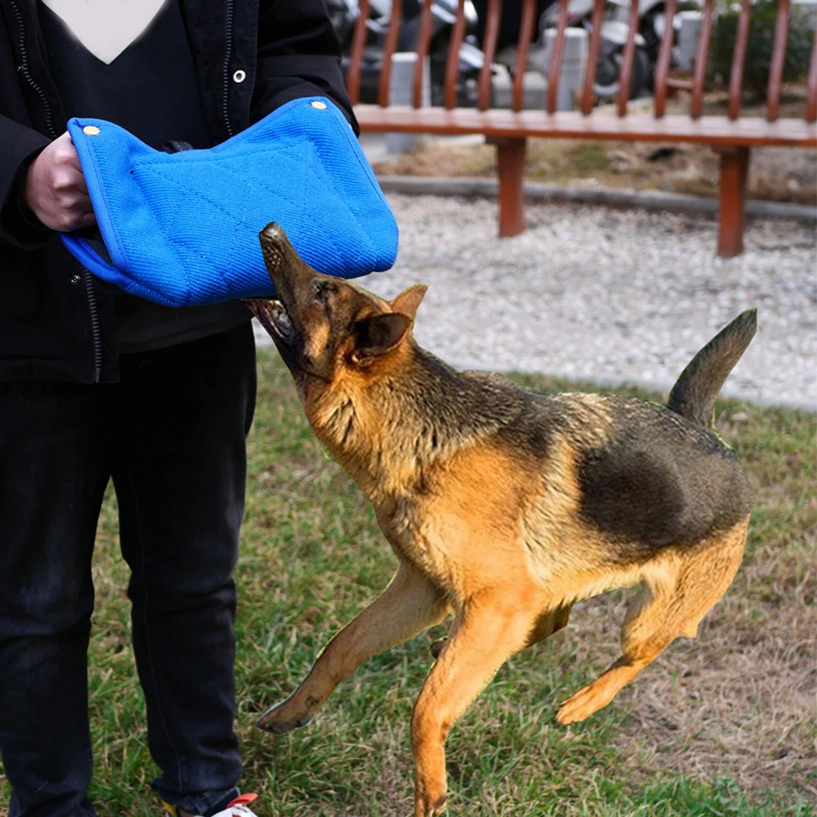 Coussin de morsure pour chien