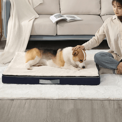 https://cdn.shopify.com/s/files/1/0763/9767/4819/files/Coussin_dehoussable_pour_chien_corgi.png?v=1747659715