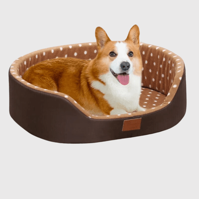 https://cdn.shopify.com/s/files/1/0763/9767/4819/files/Coussin_doux_pour_chien_toutou.png?v=1747921780