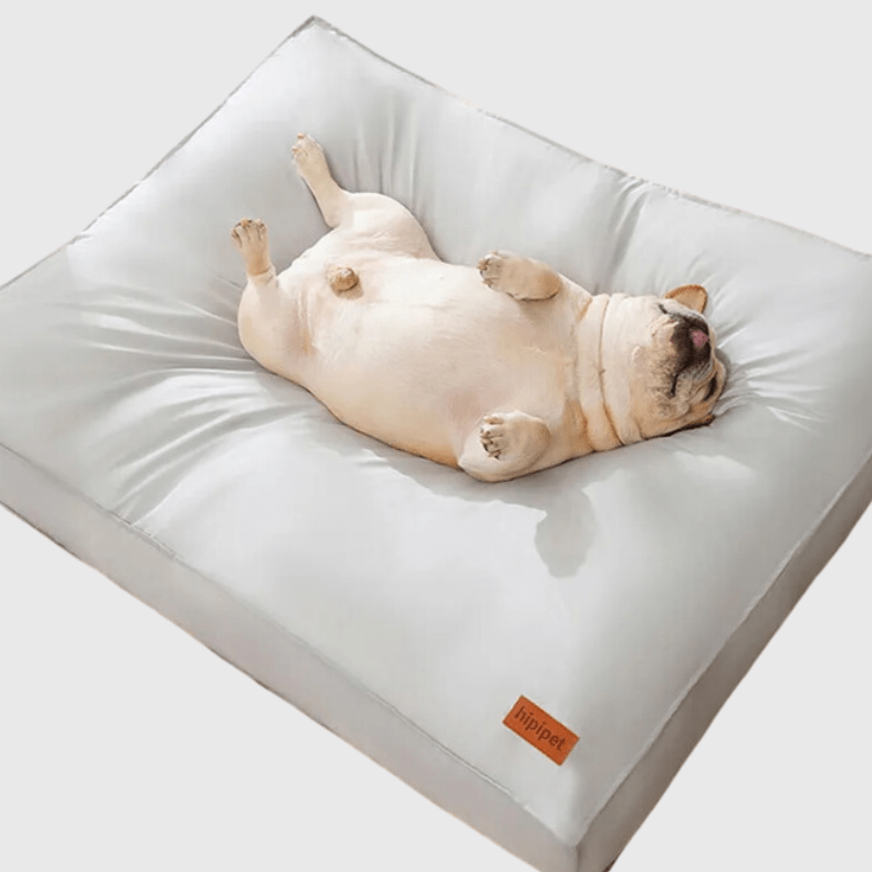 https://cdn.shopify.com/s/files/1/0763/9767/4819/files/Coussin_m_moire_de_forme_pour_chien_bouledogue.png?v=1747663643
