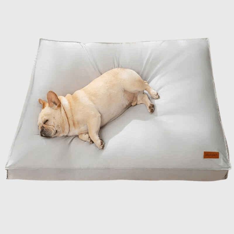https://cdn.shopify.com/s/files/1/0763/9767/4819/files/Coussin_memoire_de_forme_pour_chien_labrador.png?v=1747663802