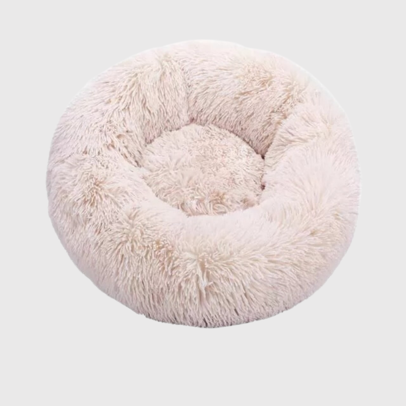 https://cdn.shopify.com/s/files/1/0763/9767/4819/files/Coussin_orthopedique_pour_chien_dans_un_salon_au_calme.png?v=1744736496