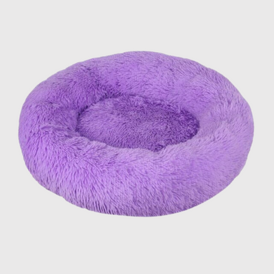 https://cdn.shopify.com/s/files/1/0763/9767/4819/files/Coussin_orthopedique_pour_chien_violet.png?v=1744736468