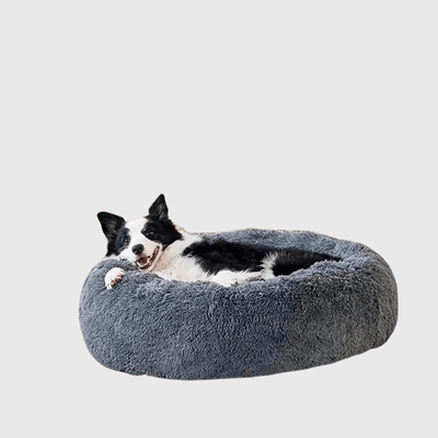 https://cdn.shopify.com/s/files/1/0763/9767/4819/files/Coussin_pour_grand_chien_border_collie.png?v=1748433849