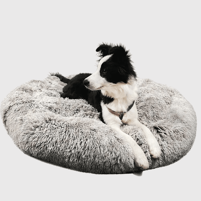 https://cdn.shopify.com/s/files/1/0763/9767/4819/files/Coussin_pour_grand_chien_chiot.png?v=1748433849