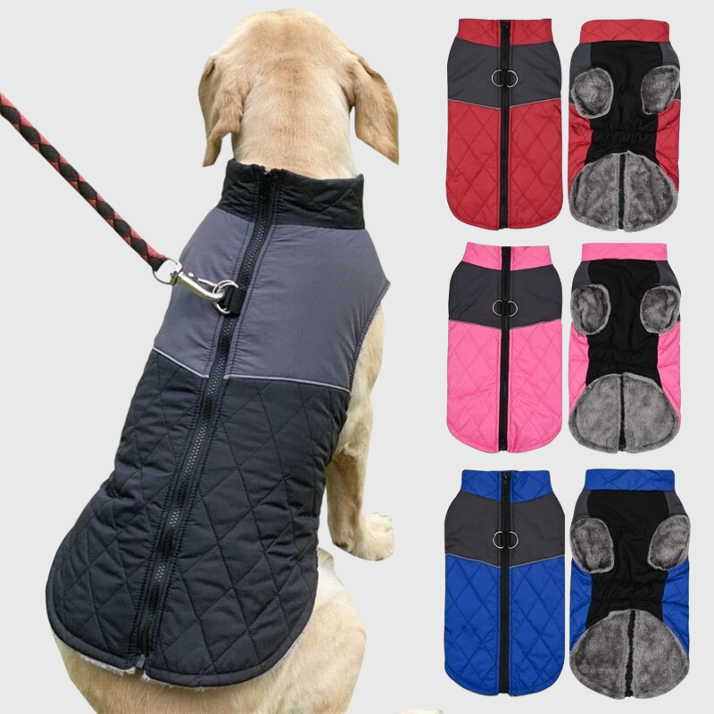 https://cdn.shopify.com/s/files/1/0763/9767/4819/files/Couverture_polaire_manteau_pour_chien_avec_harnais_modele_chien.png?v=1753205960