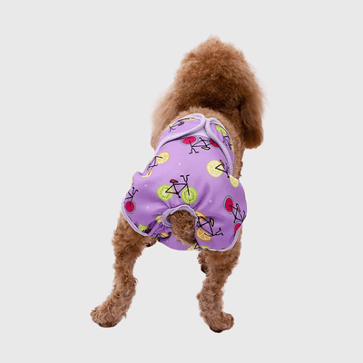 https://cdn.shopify.com/s/files/1/0763/9767/4819/files/Culotte_bleu_ciel_pour_chienne_en_chaleur_modele.png?v=1717426481