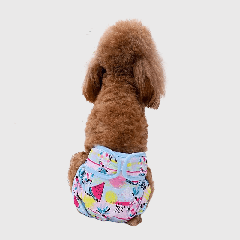 https://cdn.shopify.com/s/files/1/0763/9767/4819/files/Culotte_bleu_ciel_pour_chienne_en_chaleur_modele_chien.png?v=1717426483