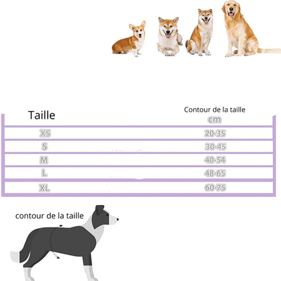 https://cdn.shopify.com/s/files/1/0763/9767/4819/files/Culotte_elastique_pour_chien_taille.png?v=1746195729