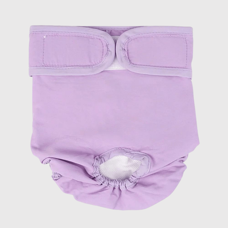 https://cdn.shopify.com/s/files/1/0763/9767/4819/files/Culotte_elastique_pour_chien_dans_un_salon_avec_sa_culotte_sur_elle_directement.png?v=1746195763