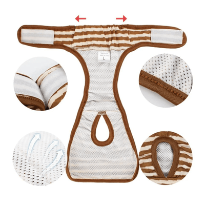 https://cdn.shopify.com/s/files/1/0763/9767/4819/files/Culotte_hygienique_pour_chien_zoom.png?v=1750087151