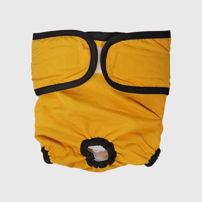 https://cdn.shopify.com/s/files/1/0763/9767/4819/files/Culotte_pour_chien_regle_style_1_jaune.png?v=1749140569