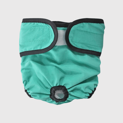 https://cdn.shopify.com/s/files/1/0763/9767/4819/files/Culotte_pour_chien_regle_style_1_vert.png?v=1749140569