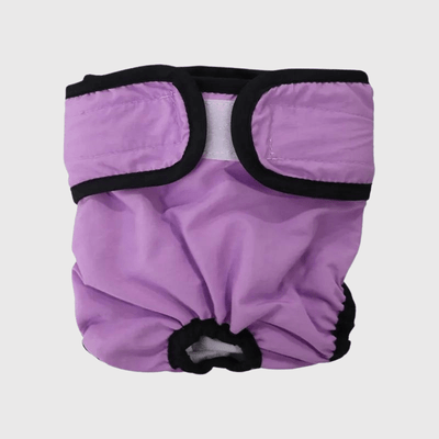 https://cdn.shopify.com/s/files/1/0763/9767/4819/files/Culotte_pour_chien_regle_style_1_violet.png?v=1749140569