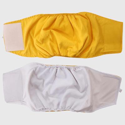 https://cdn.shopify.com/s/files/1/0763/9767/4819/files/Culotte_pour_chien_regle_style_2_devant_derriere.png?v=1749140569