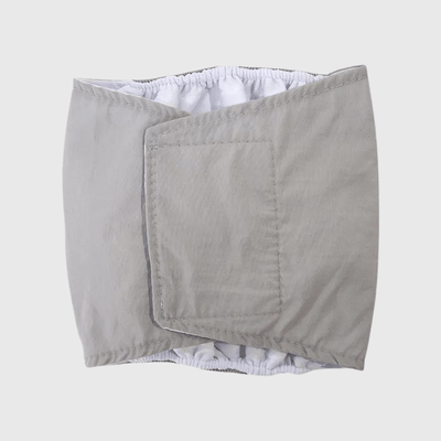 https://cdn.shopify.com/s/files/1/0763/9767/4819/files/Culotte_pour_chien_regle_style_2_gris.png?v=1749140569