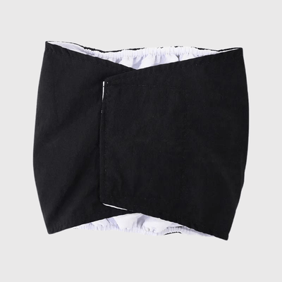 https://cdn.shopify.com/s/files/1/0763/9767/4819/files/Culotte_pour_chien_regle_style_2_noir.png?v=1749140569