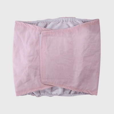 https://cdn.shopify.com/s/files/1/0763/9767/4819/files/Culotte_pour_chien_regle_style_2_rose.png?v=1749140569