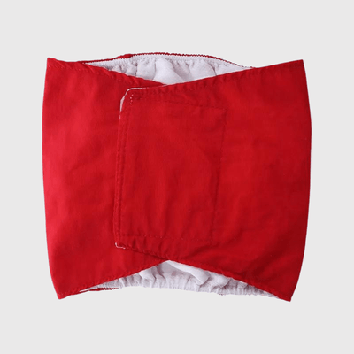 https://cdn.shopify.com/s/files/1/0763/9767/4819/files/Culotte_pour_chien_regle_style_2_rouge.png?v=1749140569