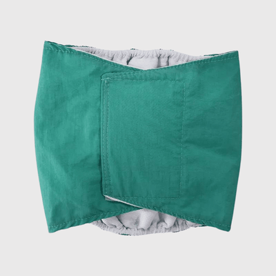 https://cdn.shopify.com/s/files/1/0763/9767/4819/files/Culotte_pour_chien_regle_style_2_vert.png?v=1749140569