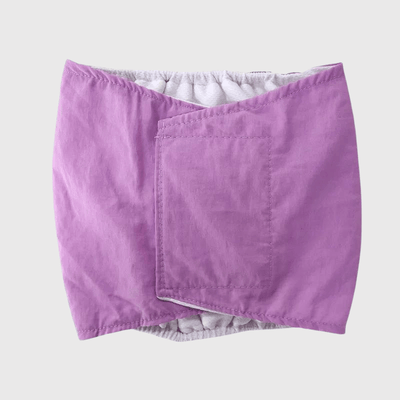 https://cdn.shopify.com/s/files/1/0763/9767/4819/files/Culotte_pour_chien_regle_style_2_violet.png?v=1749140569