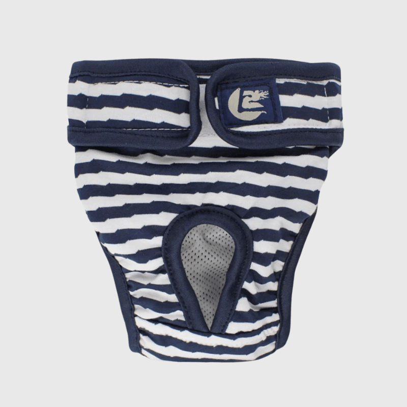 https://cdn.shopify.com/s/files/1/0763/9767/4819/files/Culotte_pour_chienne_sur_son_canape.png?v=1746197660