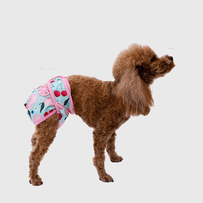 https://cdn.shopify.com/s/files/1/0763/9767/4819/files/Culotte_violette_pour_chienne_en_chaleur_caniche.png?v=1702046315