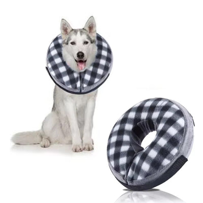 Collier élisabéthain chien gonflable - Gros-Chien.com