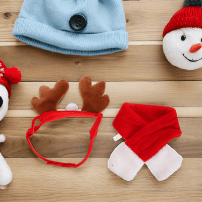 https://cdn.shopify.com/s/files/1/0763/9767/4819/files/Deguisement_chien_renne_decoration.png?v=1757427385