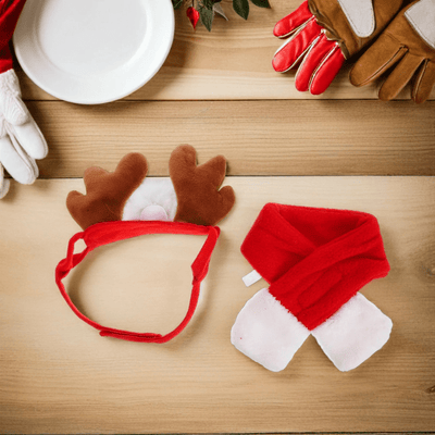 https://cdn.shopify.com/s/files/1/0763/9767/4819/files/Deguisement_chien_renne_decoration_noel.png?v=1757427385