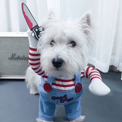 https://cdn.shopify.com/s/files/1/0763/9767/4819/files/Deguisement_chucky_chien_caniche.png?v=1757423467