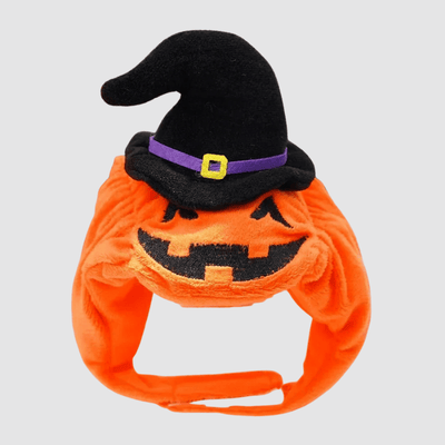 https://cdn.shopify.com/s/files/1/0763/9767/4819/files/Deguisement_citrouille_chien_chapeau.png?v=1757428463