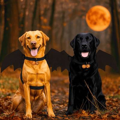 https://cdn.shopify.com/s/files/1/0763/9767/4819/files/Deguisement_halloween_chien.png?v=1757508282