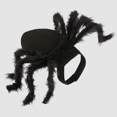 https://cdn.shopify.com/s/files/1/0763/9767/4819/files/Deguisement_halloween_chien_araignee_exemple.png?v=1757439102