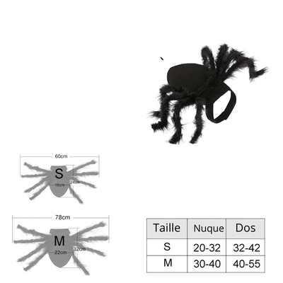 https://cdn.shopify.com/s/files/1/0763/9767/4819/files/Deguisement_halloween_chien_araignee_taille.png?v=1757439083