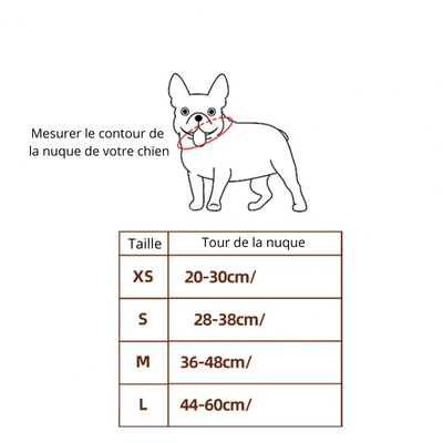 https://cdn.shopify.com/s/files/1/0763/9767/4819/files/Deguisement_halloween_chien_fantome_guide_des_tailles.png?v=1757505847